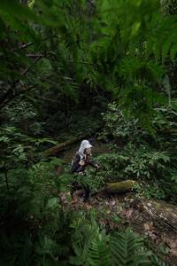 BIB: 505
                            <button type="button" onclick="openModal(16029738)" class="btn btn-primary btn-sm float-right btn-popup" data-toggle="modal" data-target=".modal-high-quality">
                        <i class="fas fa-shopping-cart"></i> Add to Cart
                    </button>
                                            <button type="button" onclick="isThisMe(16029738, true)" class="btn btn-success btn-sm float-right btn-popup btn-isme hidden" data-toggle="tooltip" data-placement="bottom" title="นี่คือรูปของคุณใช่ไหม คลิกที่นี่เพื่อเอาเข้าอัลบั้ม">
                        <i class="fas fa-plus"></i> Add to album
                    </button>
                    <button type="button" onclick="isThisMe(16029738, false)" class="btn btn-warning btn-sm float-right btn-popup btn-isnotme hidden">
                        <i class="fas fa-ban"></i> Remove from album
                    </button>